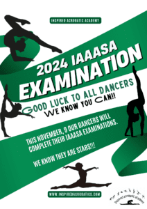 IAAASA Examinations 2024